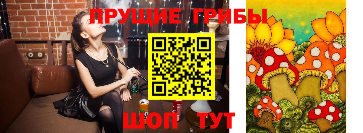 Галлюциногенные грибы Magic Shrooms  Вход с VPN  Кизилюрт 